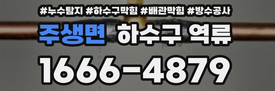 주생면 하수구 역류
