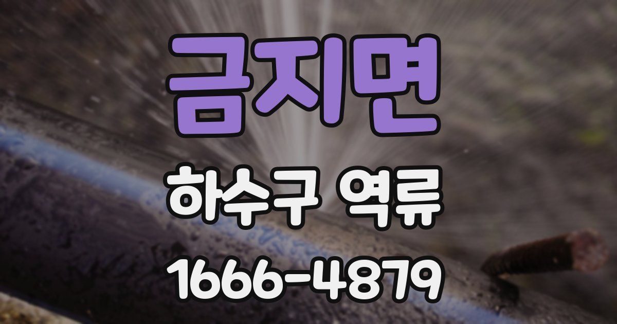 금지면 하수구 역류