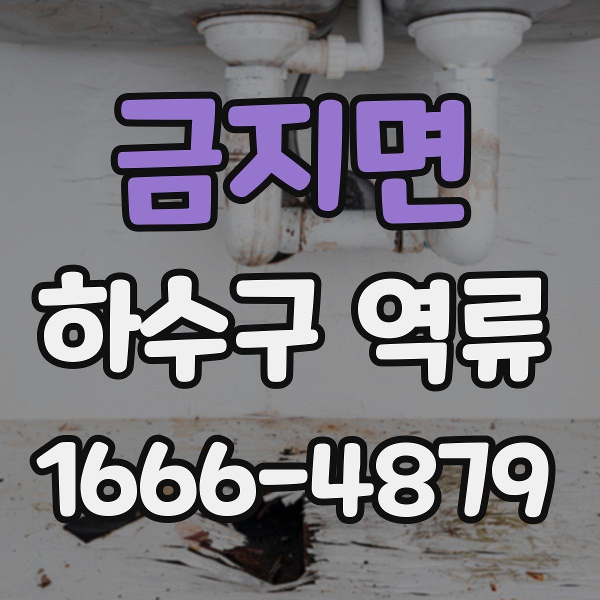 금지면 하수구 역류
