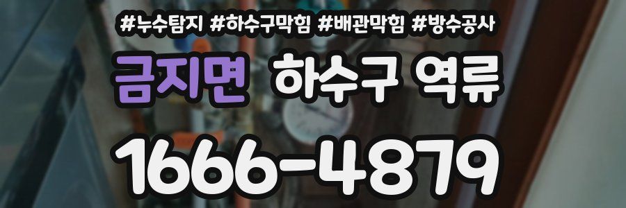 금지면 하수구 역류
