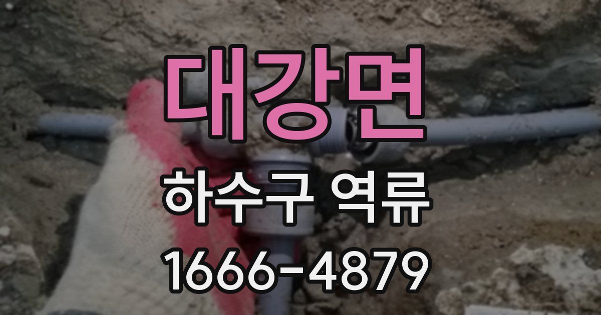 대강면 하수구 역류