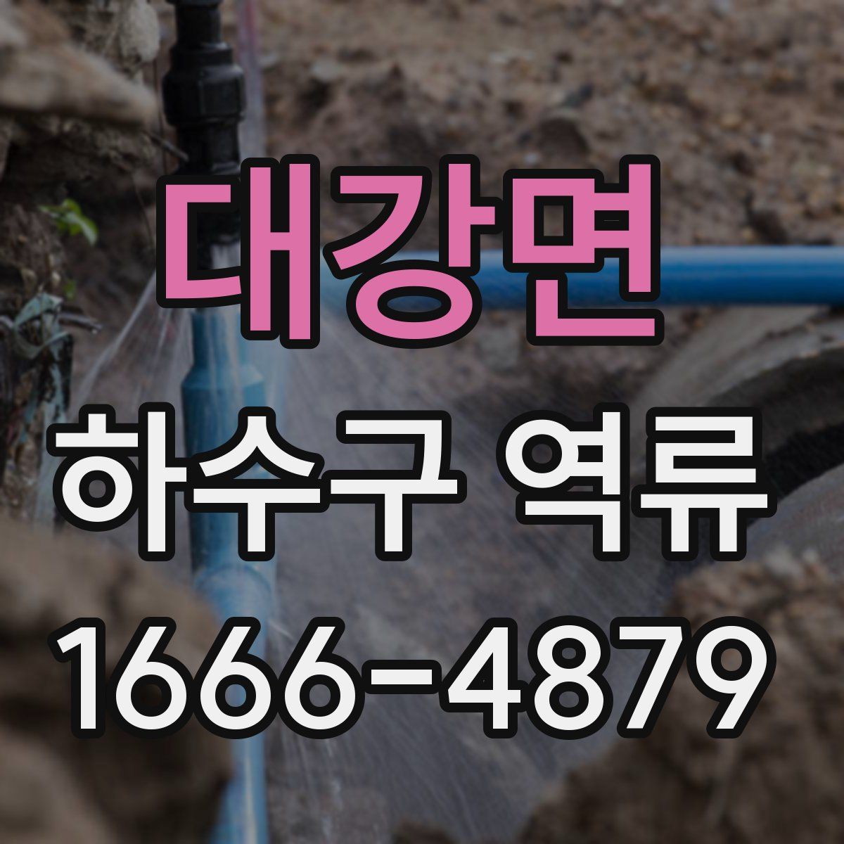 대강면 하수구 역류