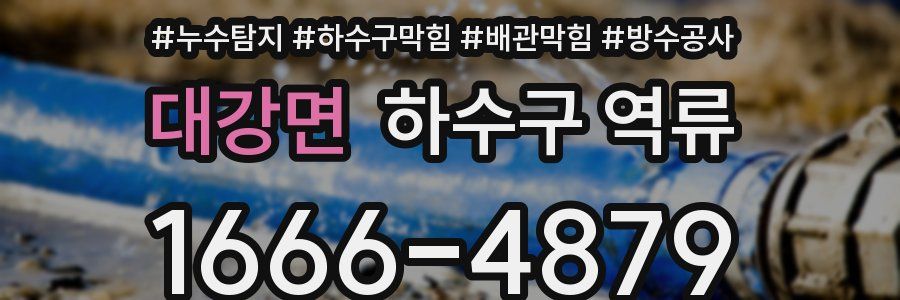대강면 하수구 역류