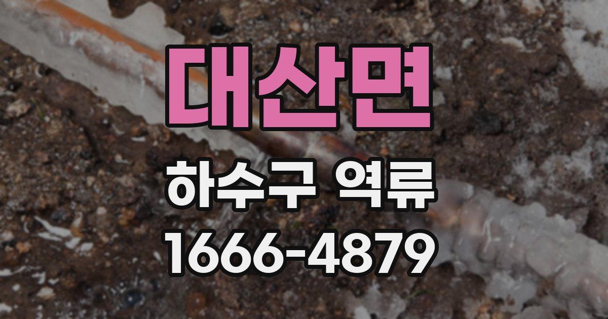 대산면 하수구 역류