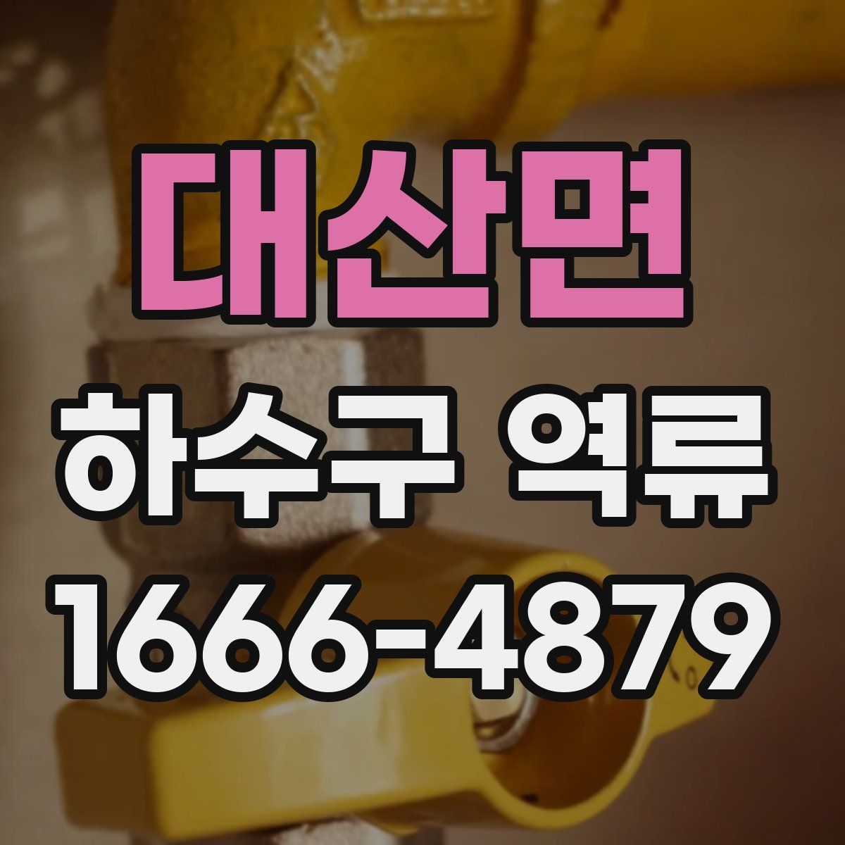 대산면 하수구 역류