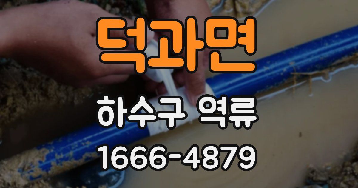 덕과면 하수구 역류