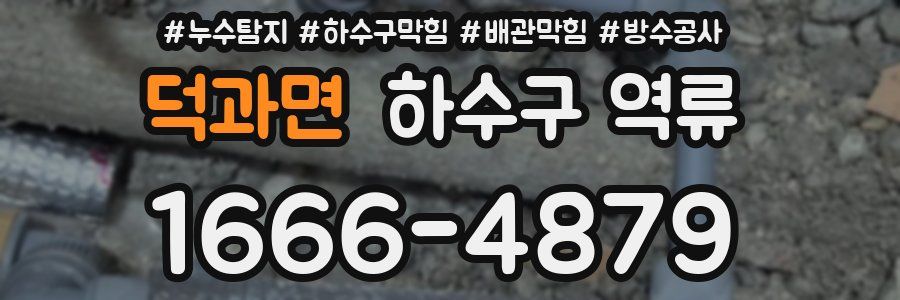 덕과면 하수구 역류
