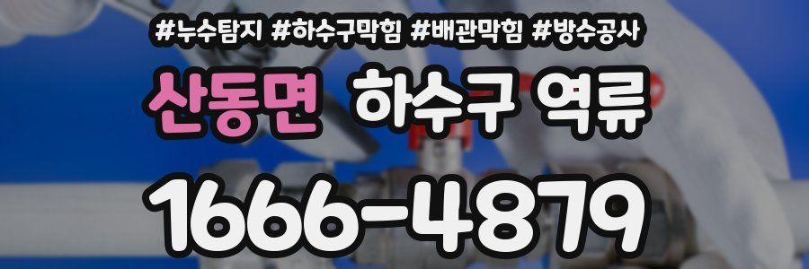 산동면 하수구 역류