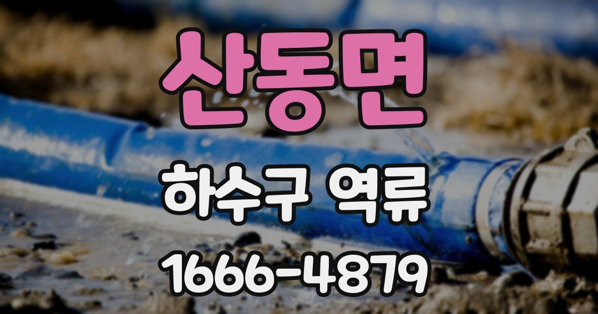 산동면 하수구 역류
