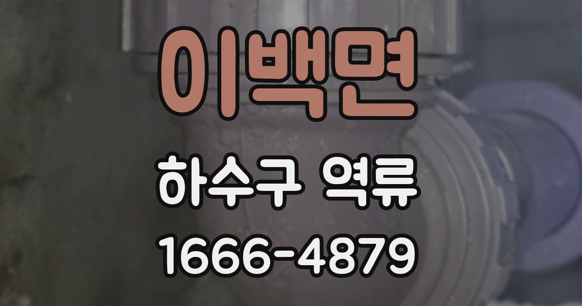 이백면 하수구 역류