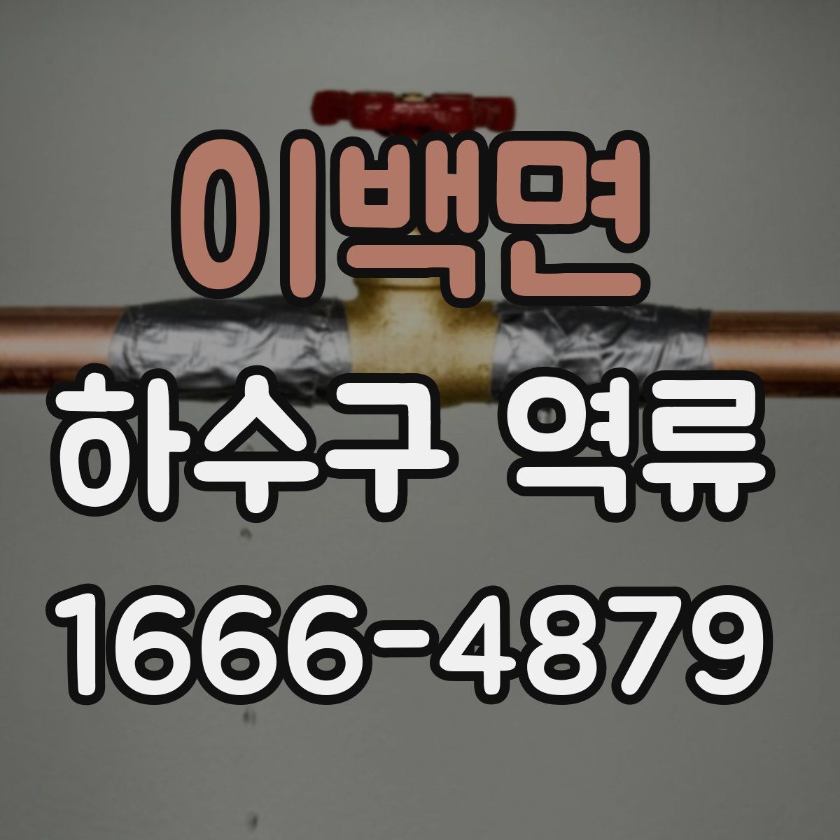 이백면 하수구 역류