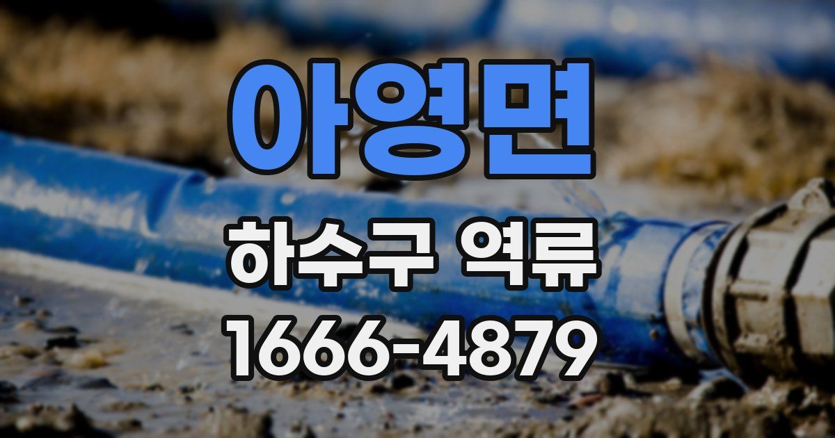 아영면 하수구 역류