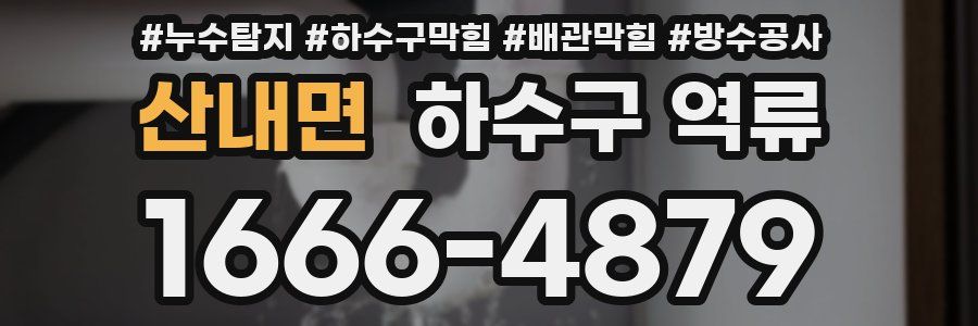 산내면 하수구 역류