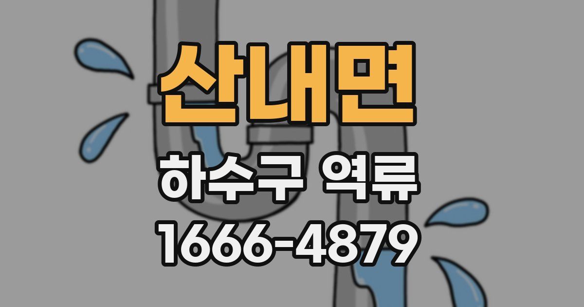 산내면 하수구 역류