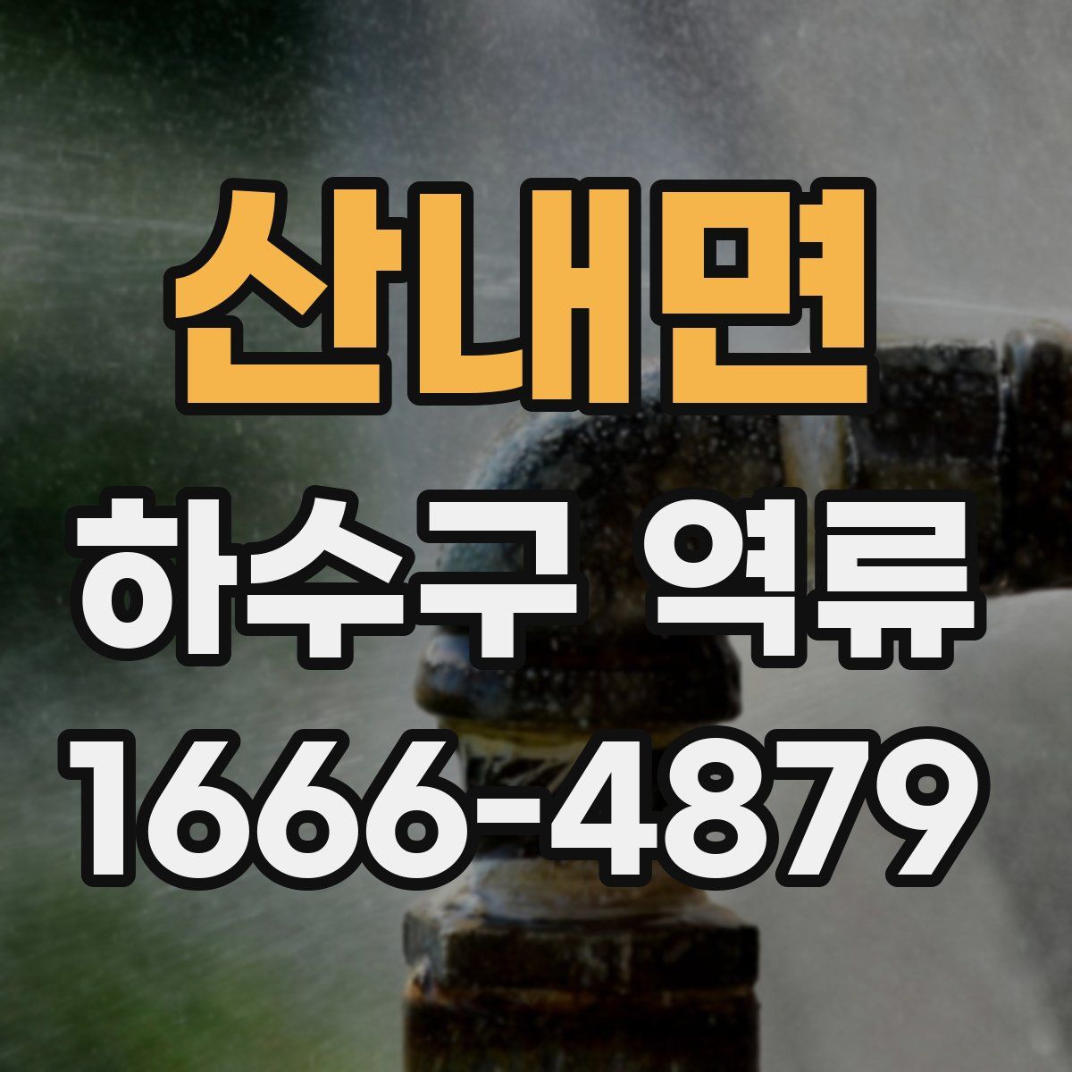 산내면 하수구 역류
