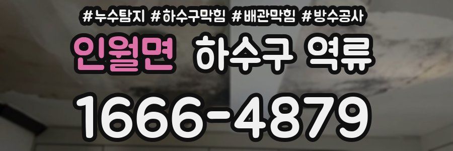 인월면 하수구 역류
