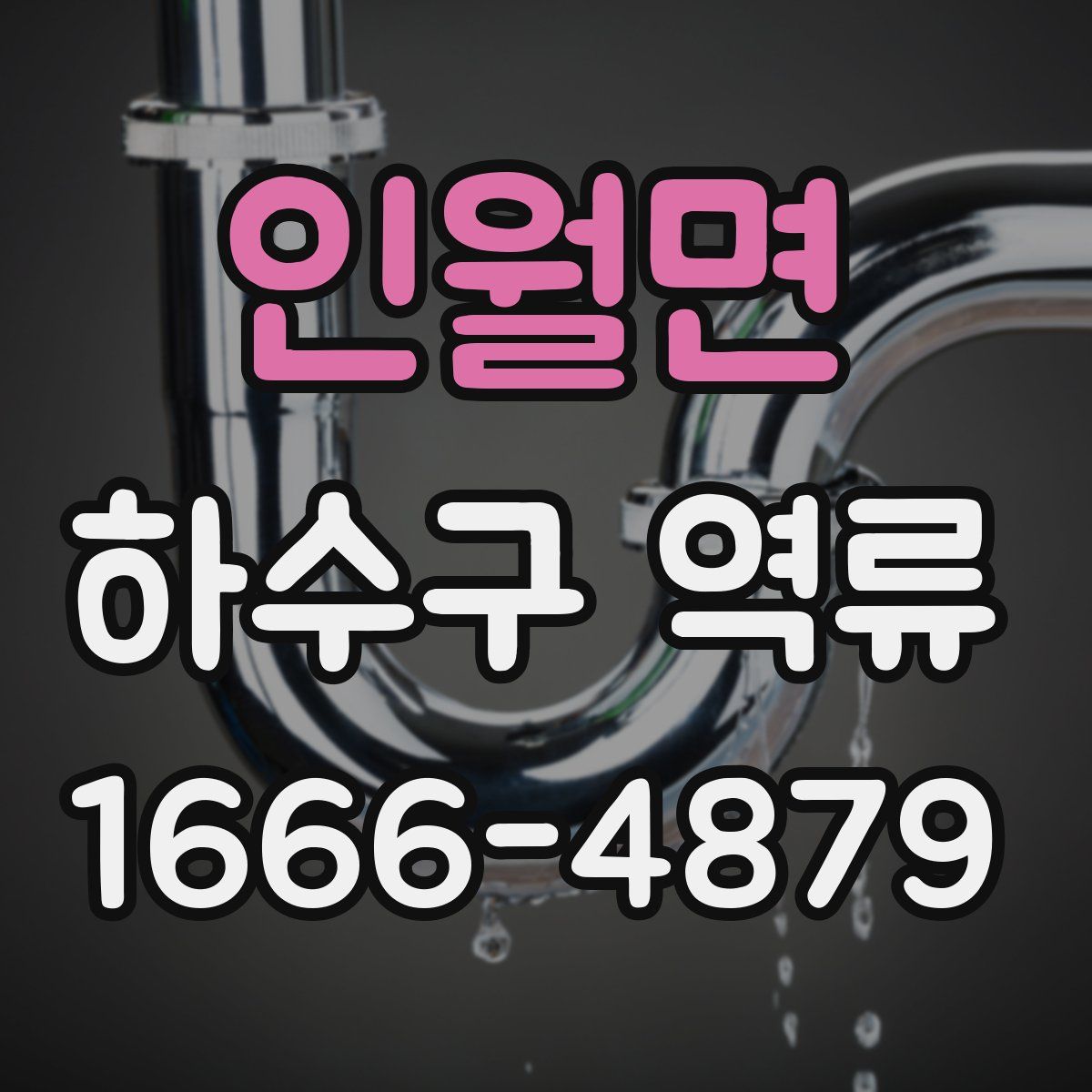 인월면 하수구 역류
