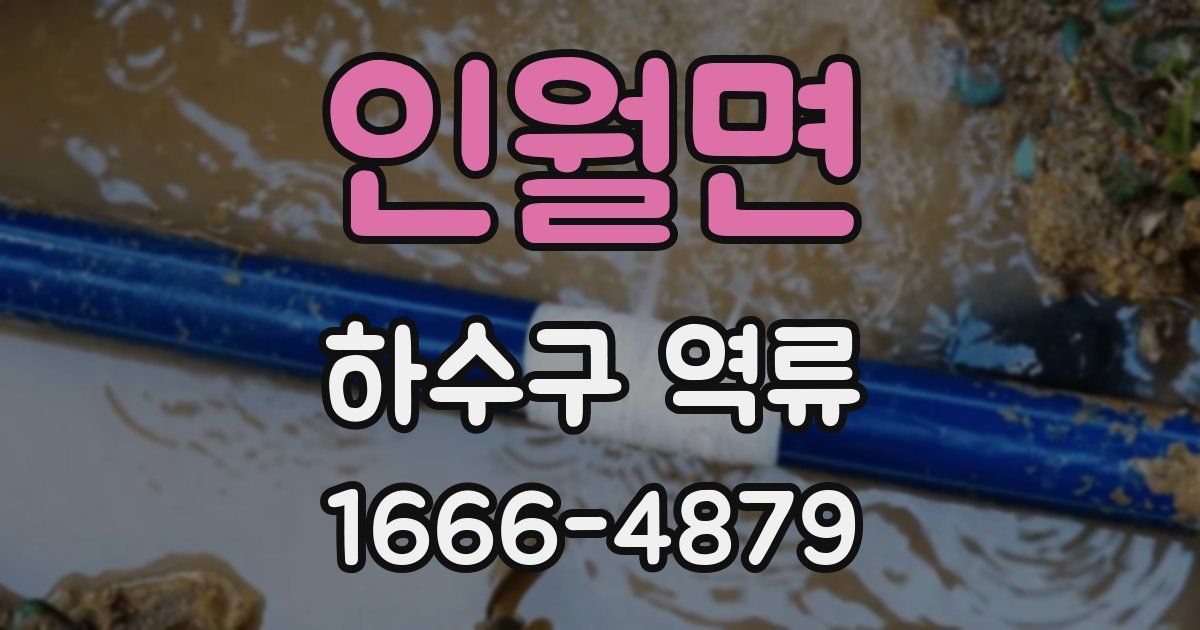 인월면 하수구 역류