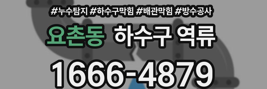 요촌동 하수구 역류