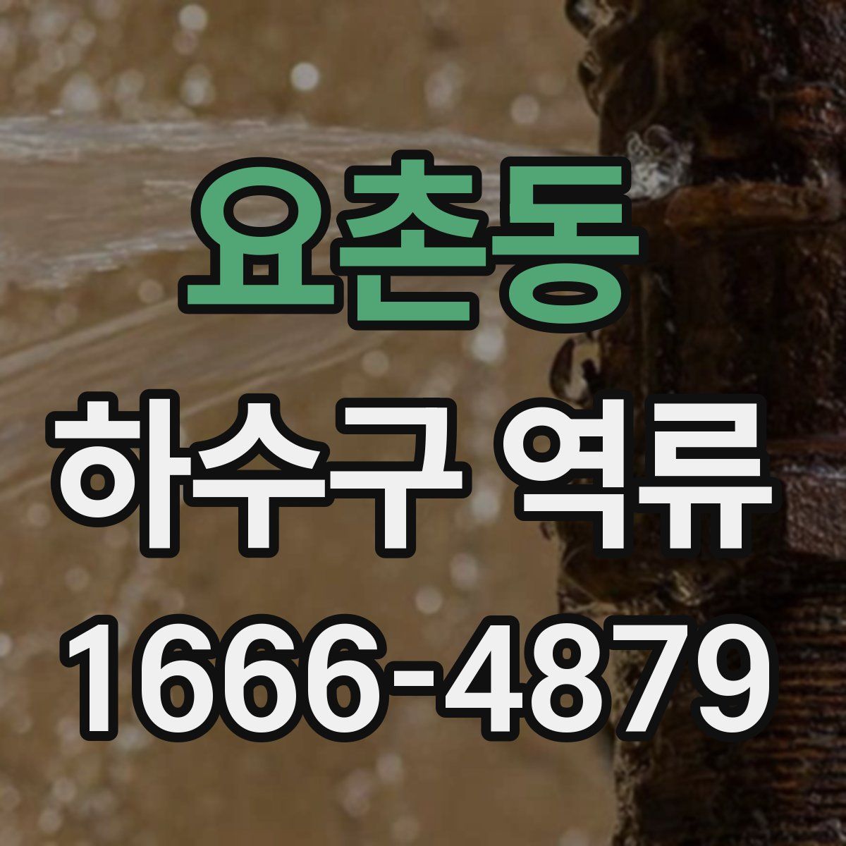 요촌동 하수구 역류