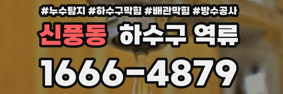 신풍동 하수구 역류
