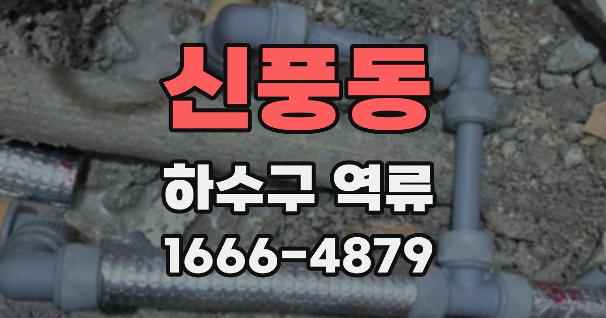 신풍동 하수구 역류