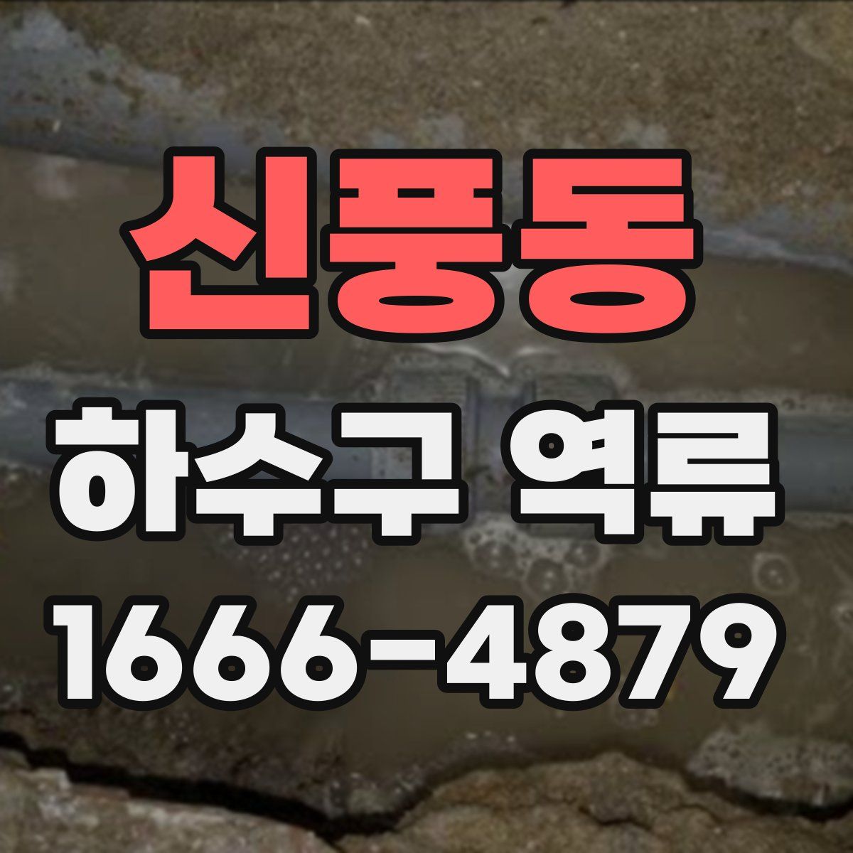 신풍동 하수구 역류