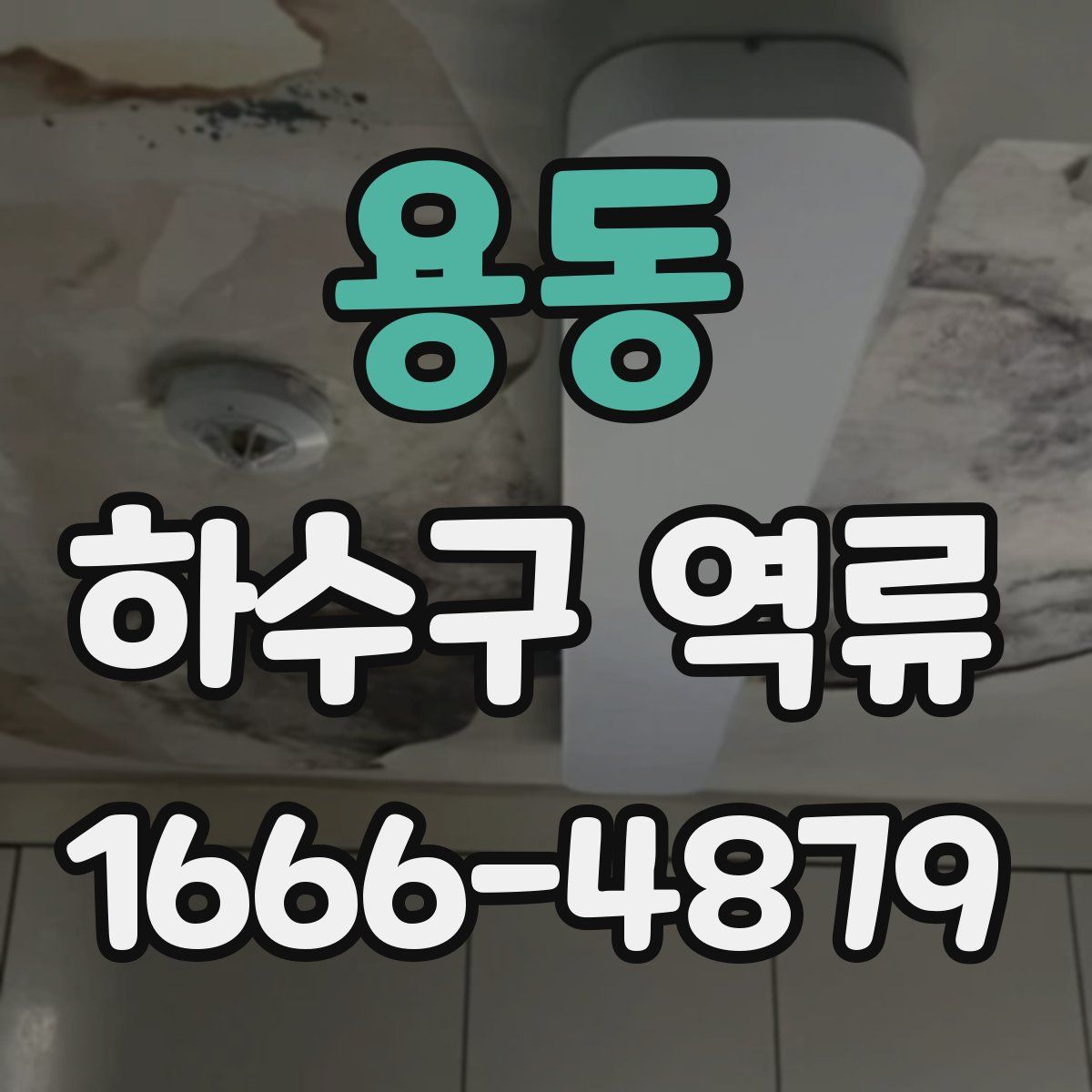 용동 하수구 역류