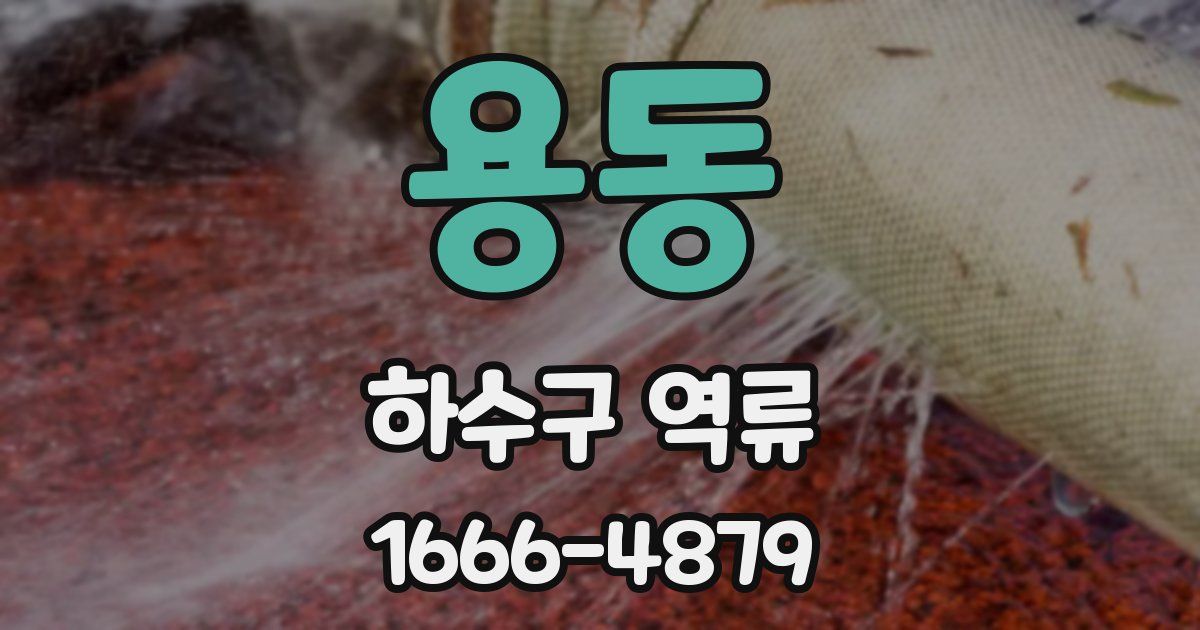 용동 하수구 역류