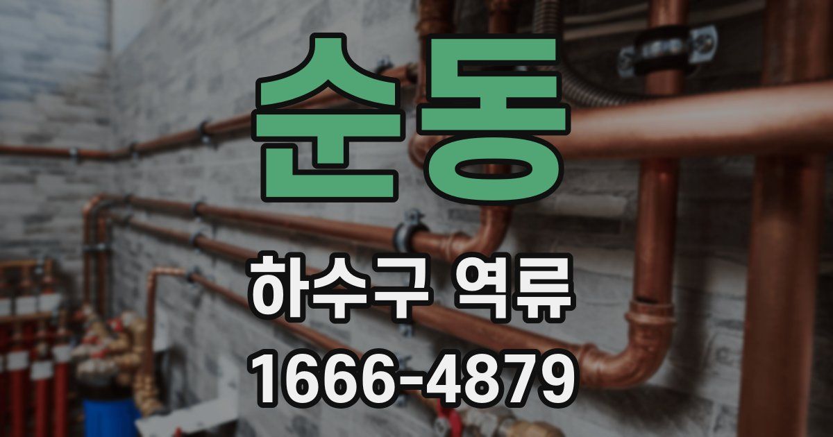 순동 하수구 역류