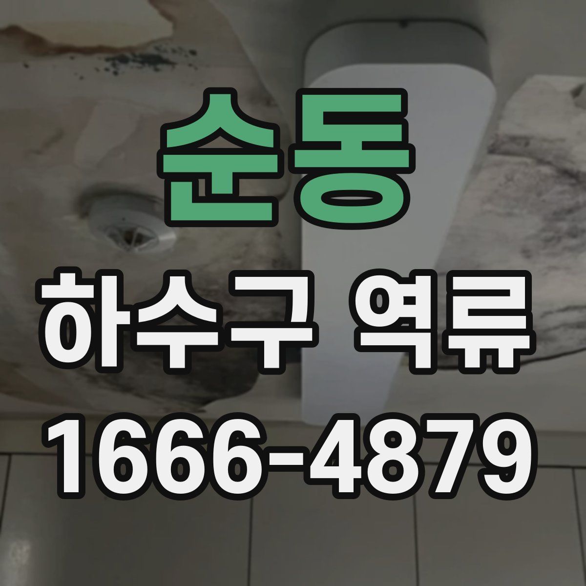 순동 하수구 역류