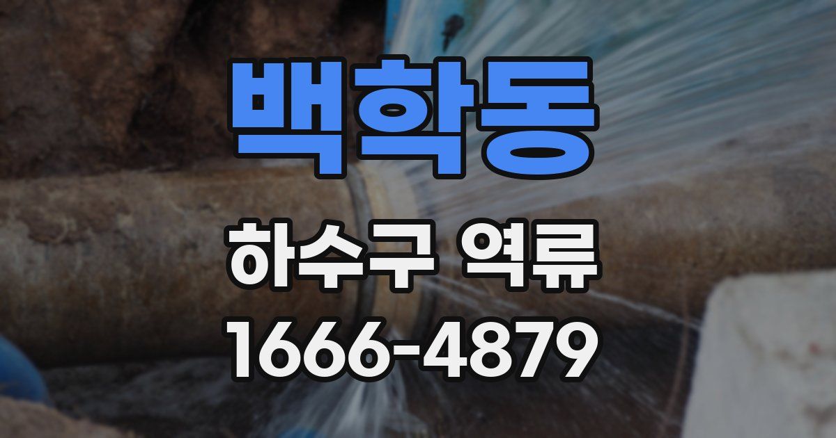 백학동 하수구 역류