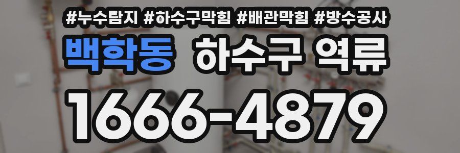 백학동 하수구 역류