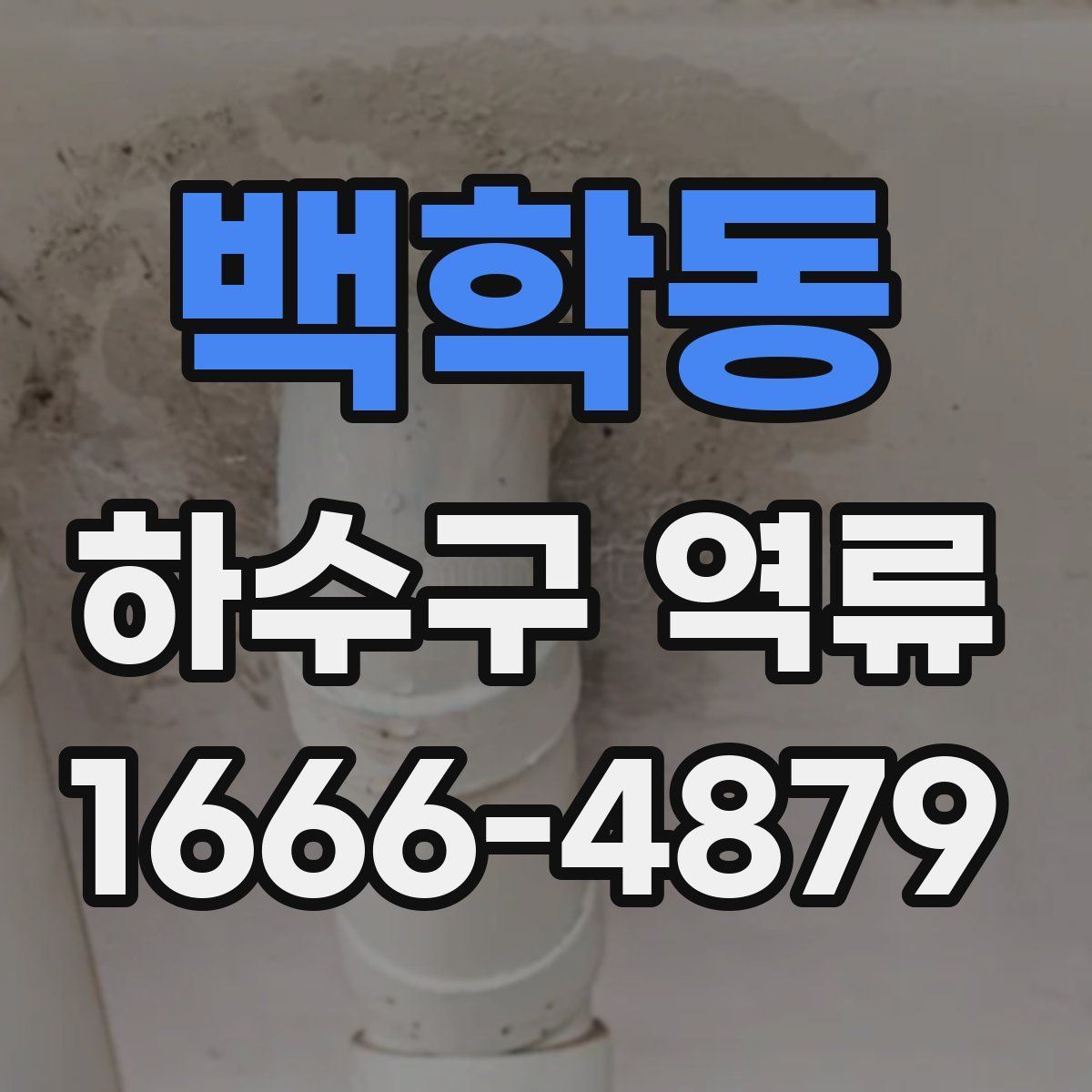 백학동 하수구 역류