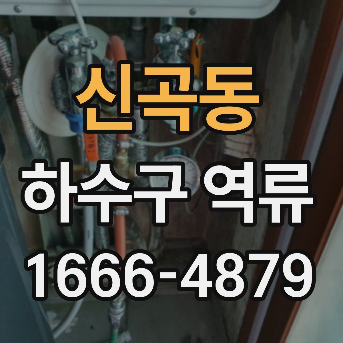 신곡동 하수구 역류