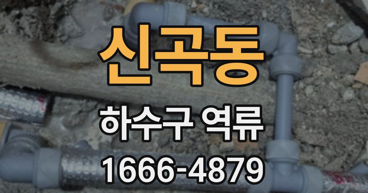 신곡동 하수구 역류