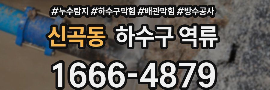 신곡동 하수구 역류