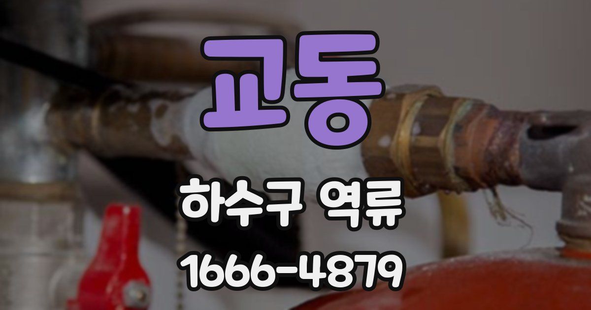 교동 하수구 역류