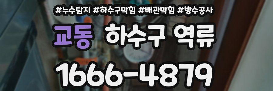교동 하수구 역류