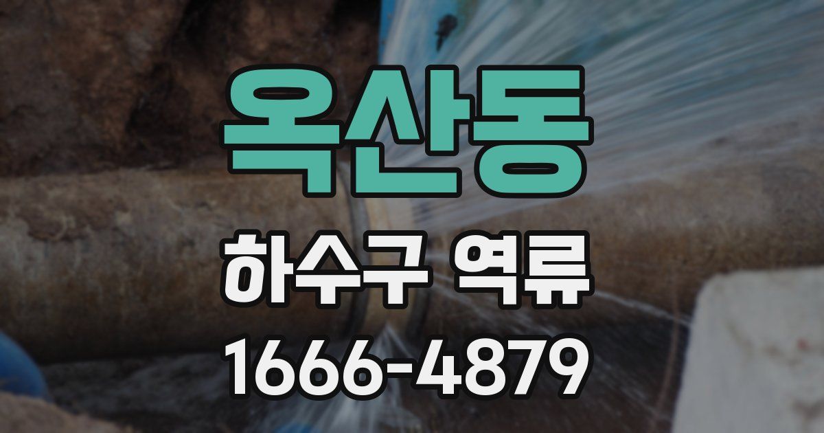 옥산동 하수구 역류