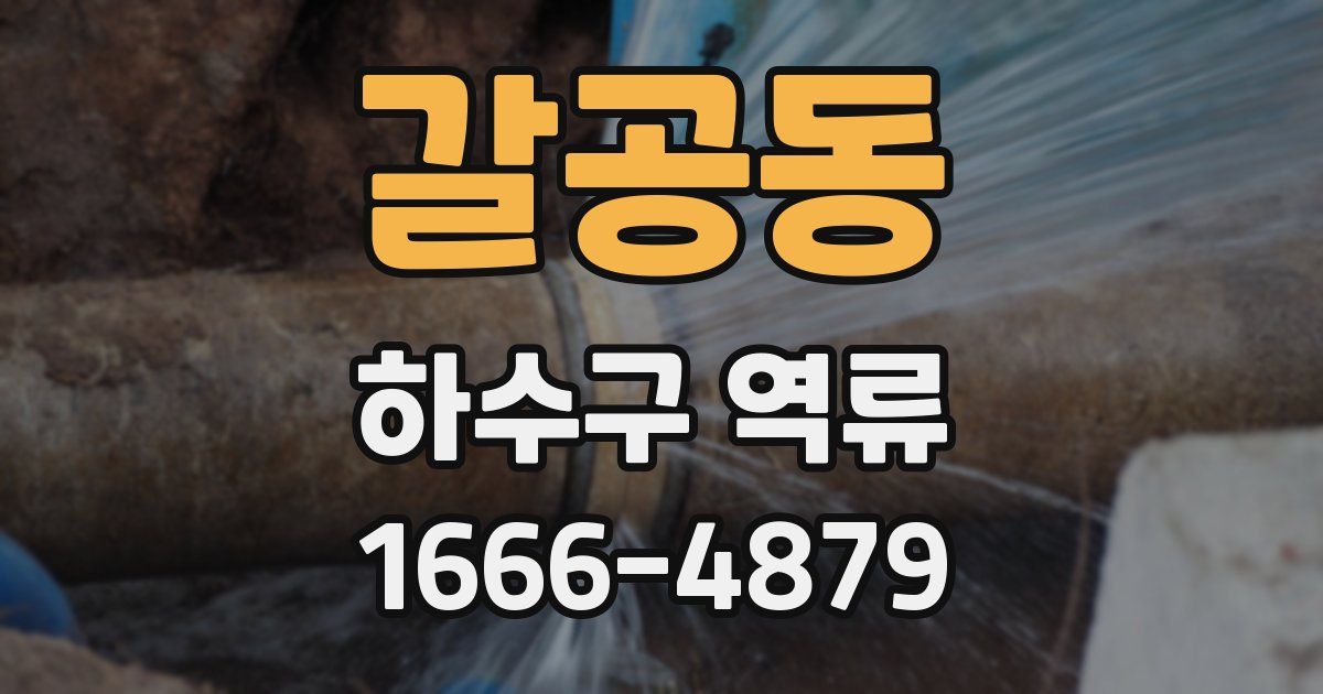 갈공동 하수구 역류