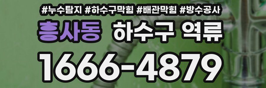흥사동 하수구 역류