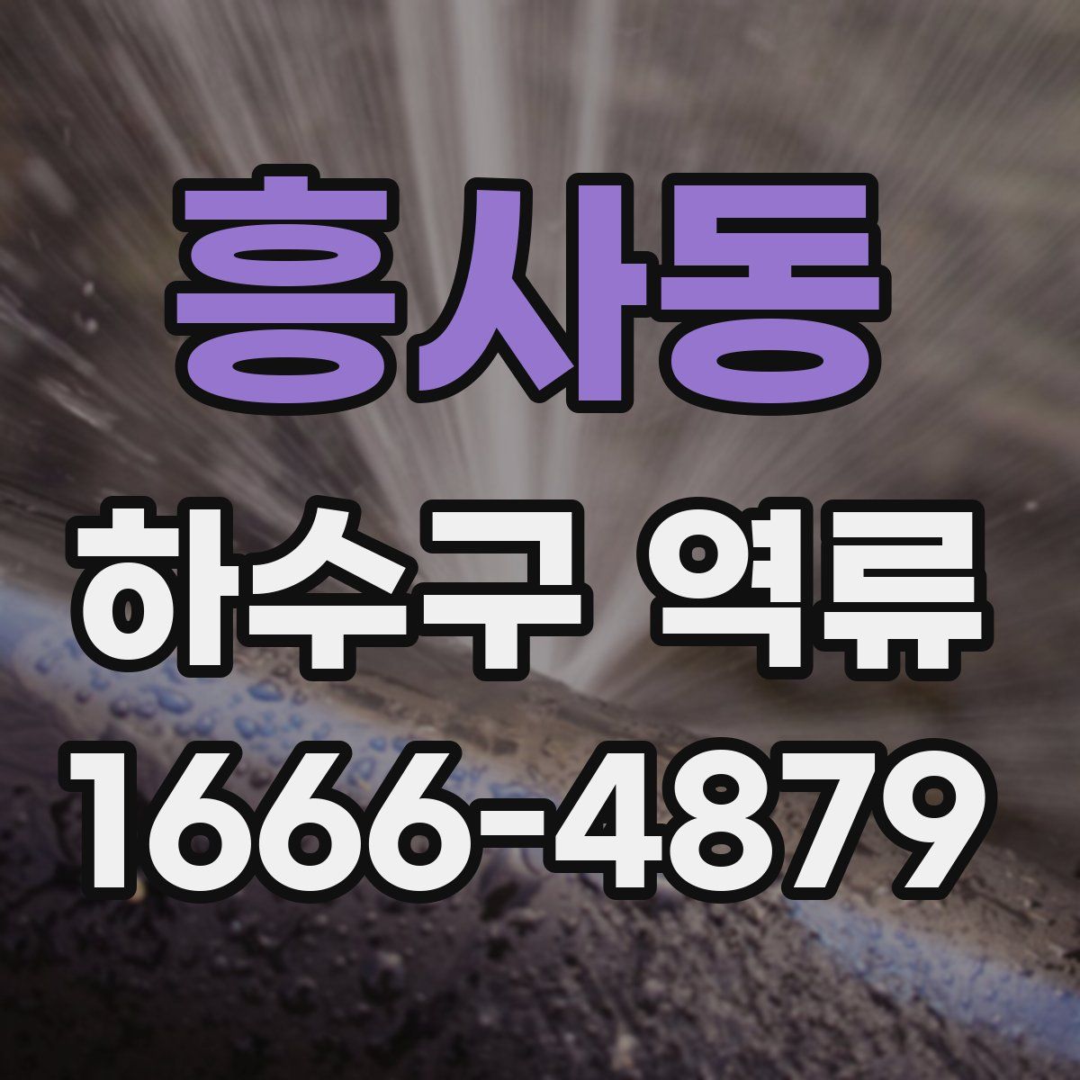 흥사동 하수구 역류