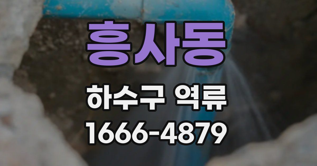 흥사동 하수구 역류