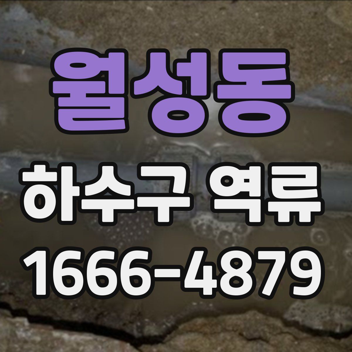 월성동 하수구 역류