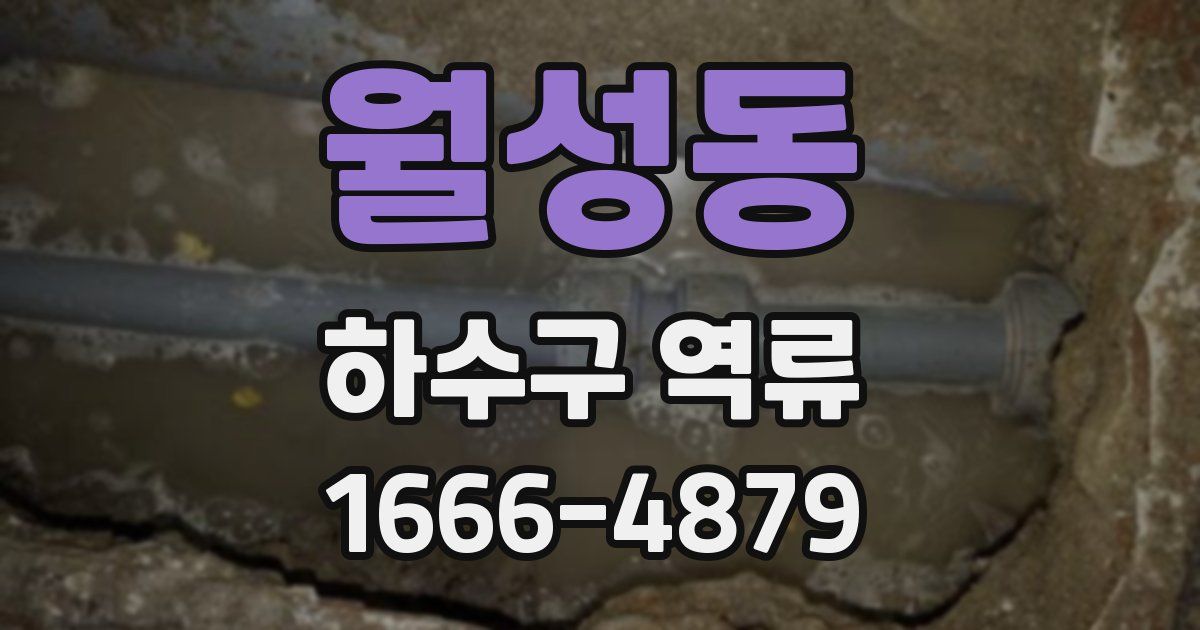 월성동 하수구 역류