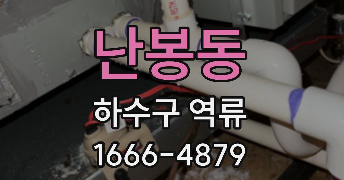 난봉동 하수구 역류