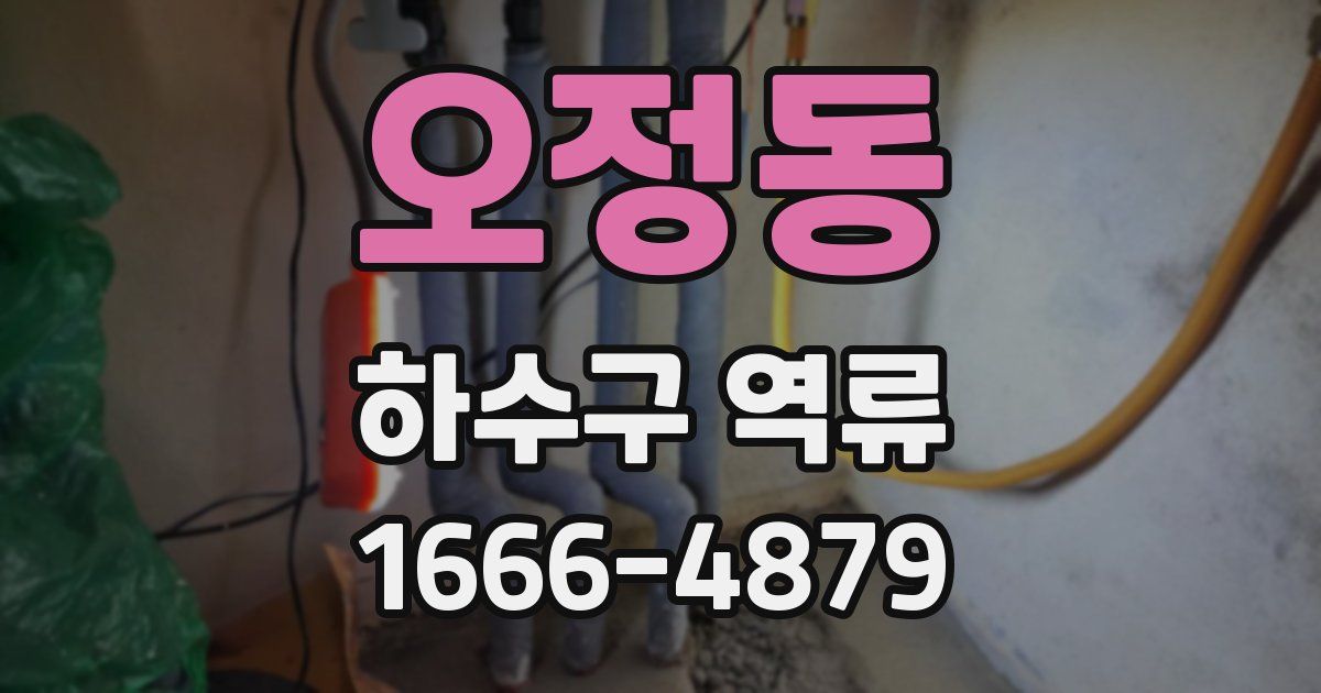 오정동 하수구 역류