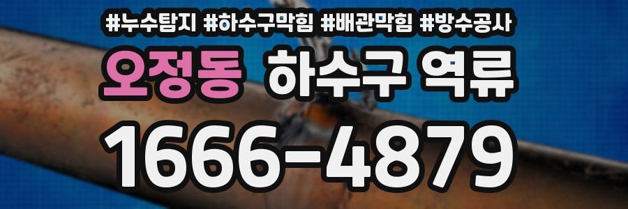 오정동 하수구 역류