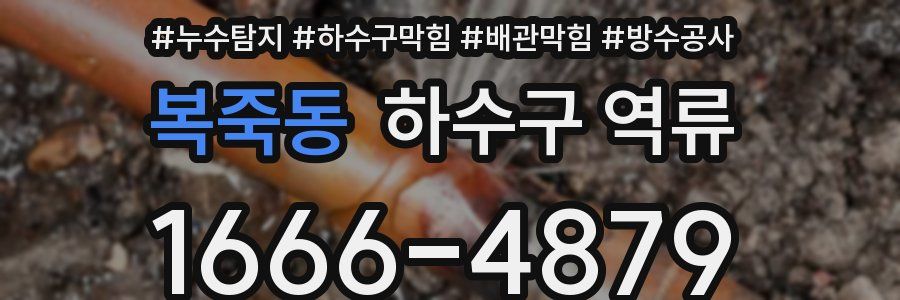 복죽동 하수구 역류